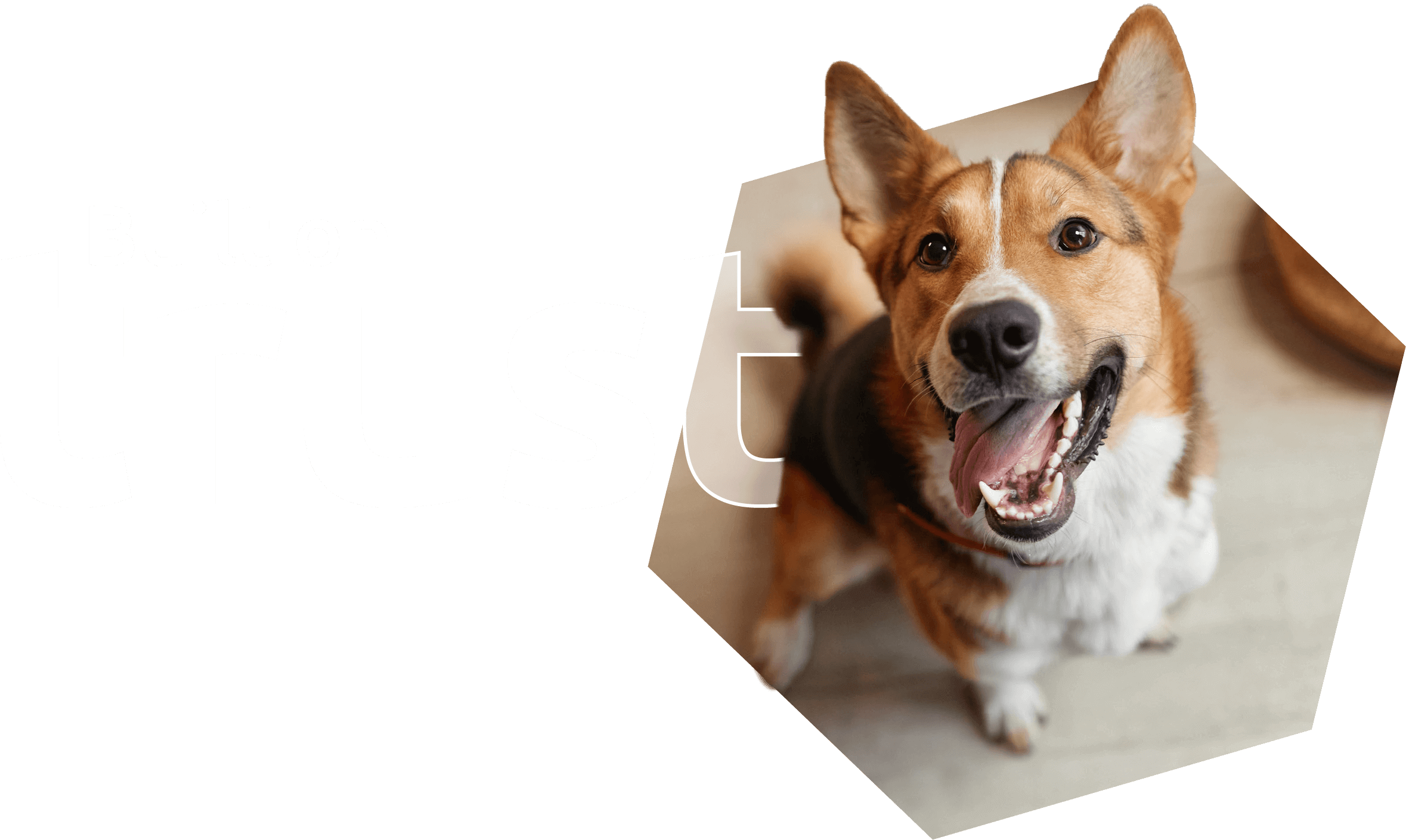 Built on trust