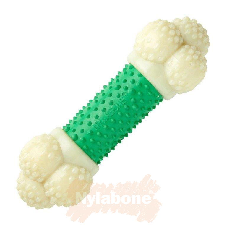 Nylabone Double Action Chew