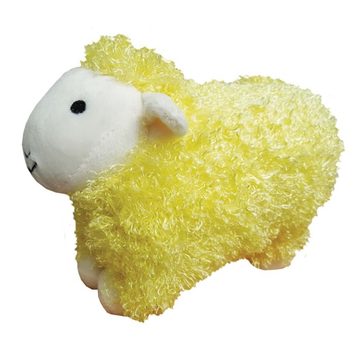 CURLY PET SHEEP