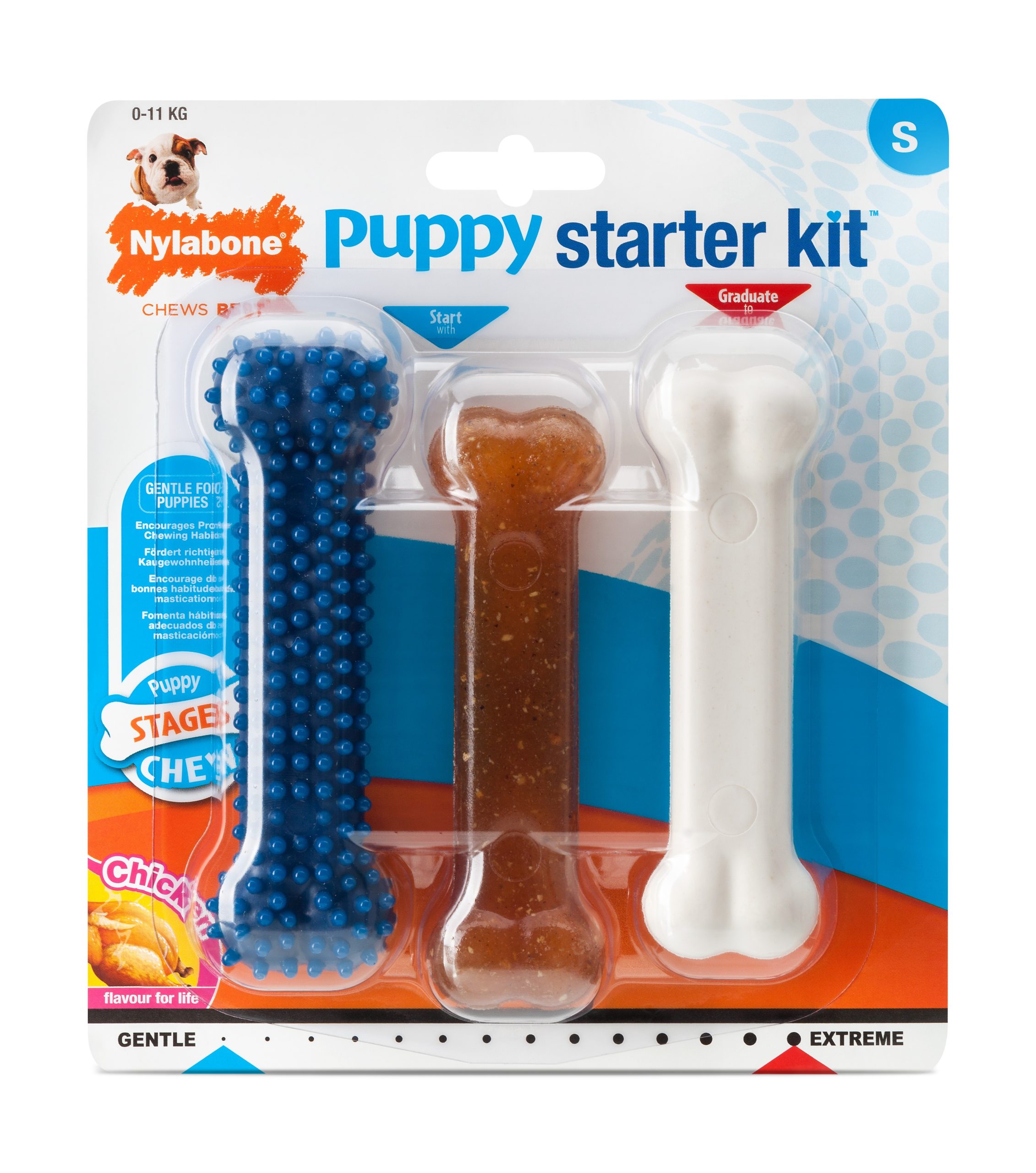 NYLABONE PUPPY STARTER KIT