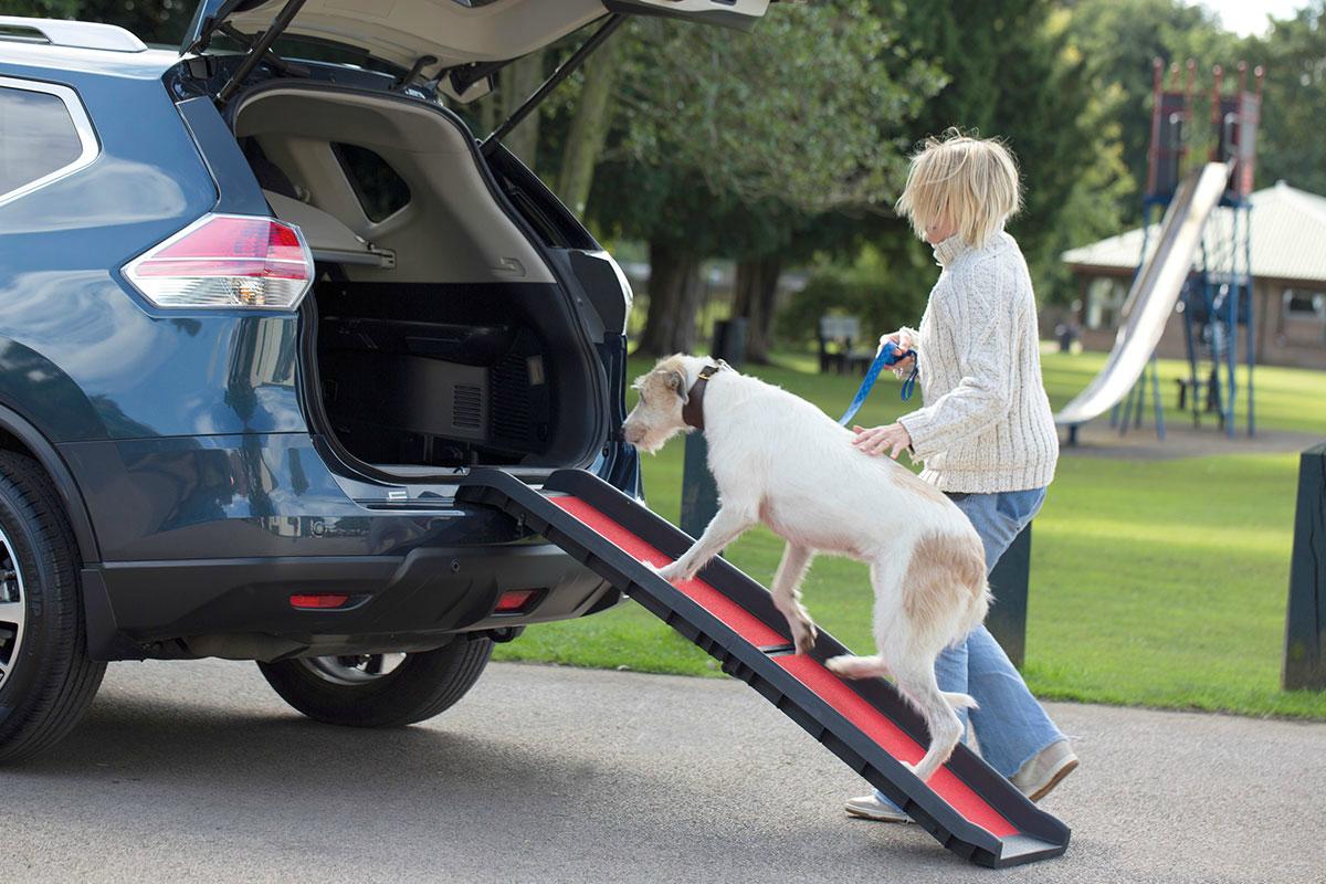 Henry Wag Lightweight Folding Car Ramp