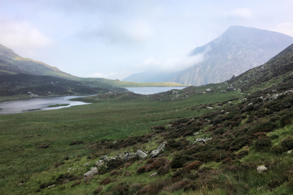 Welsh summer school scheme bids to inspire vets of future