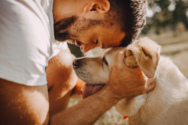 Researchers urge removal of potential support barriers for homeless dog owners