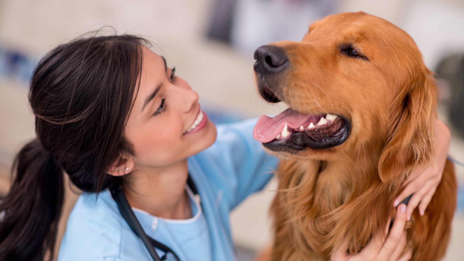 Unleashing Canine Superpowers to Celebrate International Dog Day!