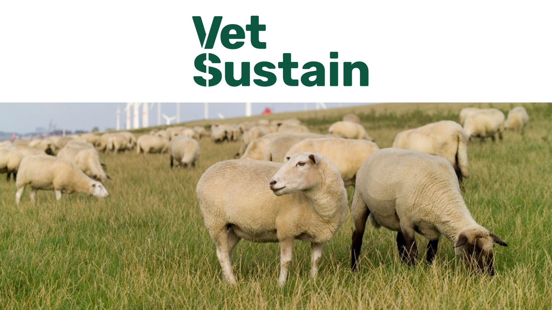 Sustainability profile: Vet Sustain