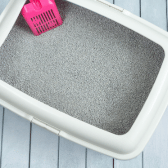 Cat Litter Trays & Accessories