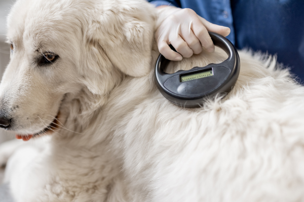 Defra unveils central microchip access plan