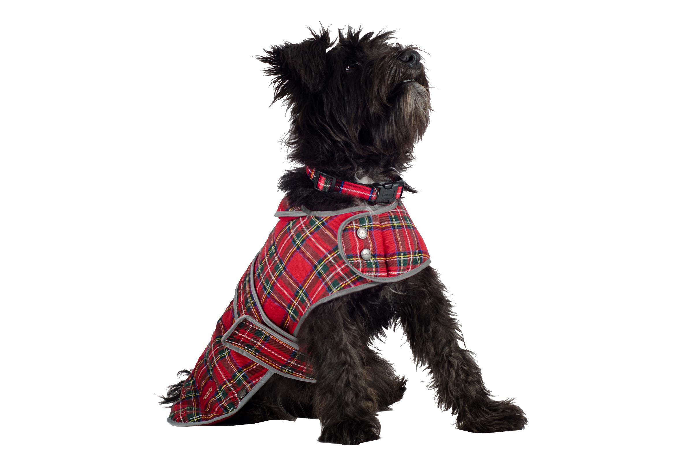 Dog Coat Highland Red Tartan