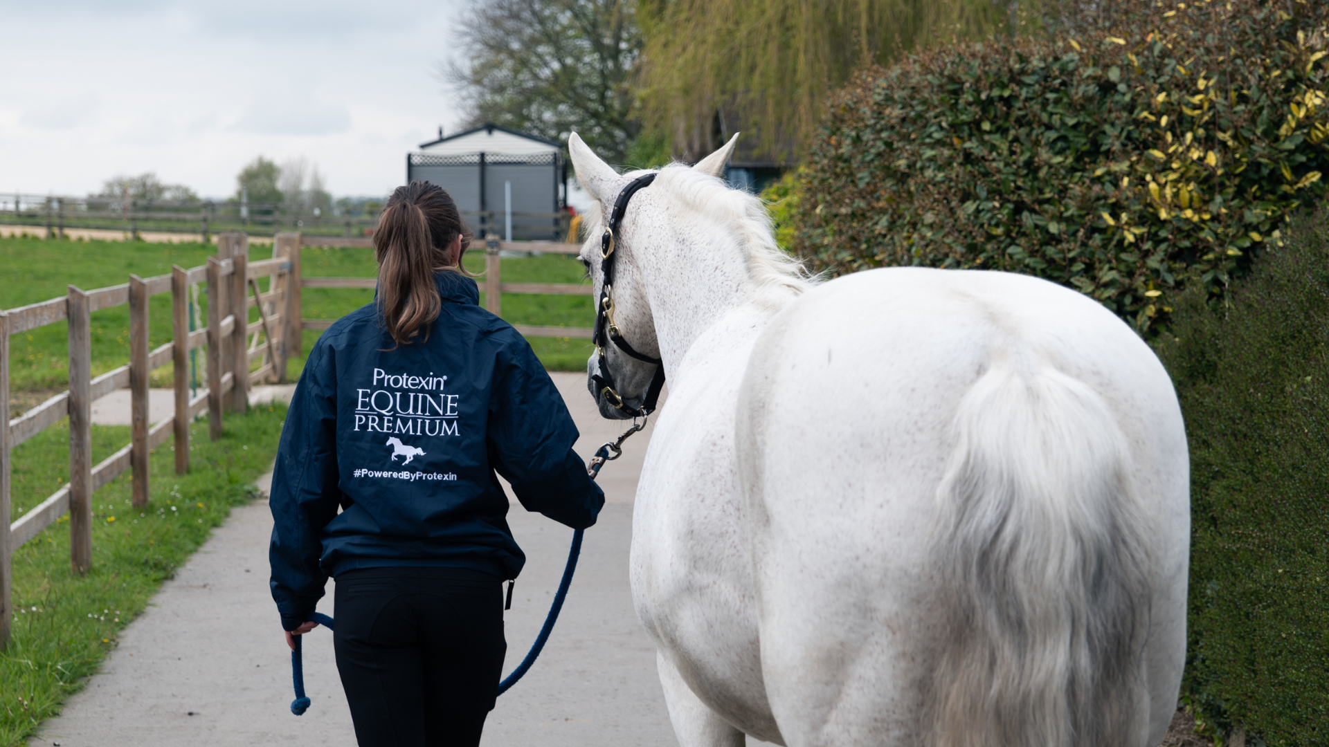 Supporting the equine microbiome as the seasons change