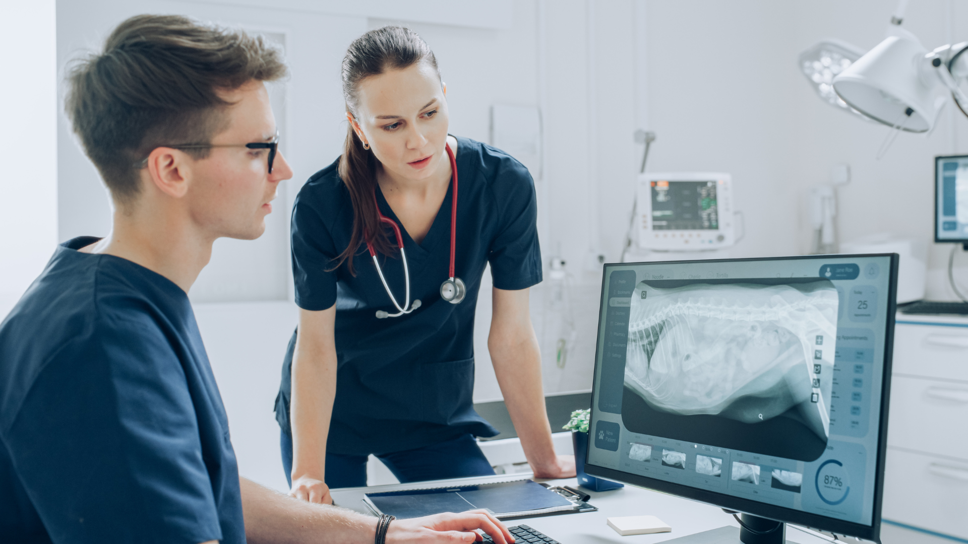 Fetch the future: Building blocks of a modern veterinary practice