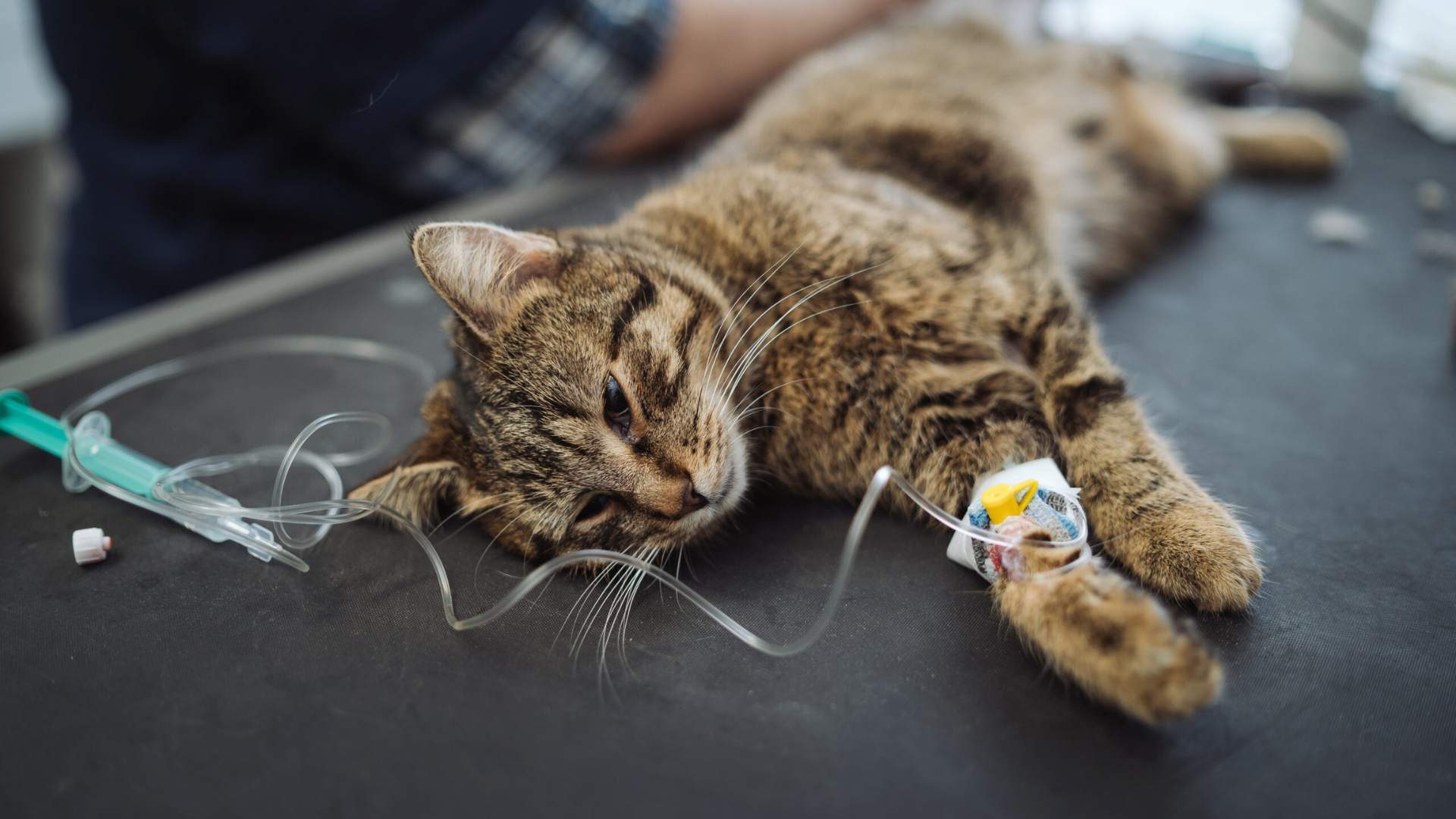 Infusion pumps and drivers: Make an informed choice