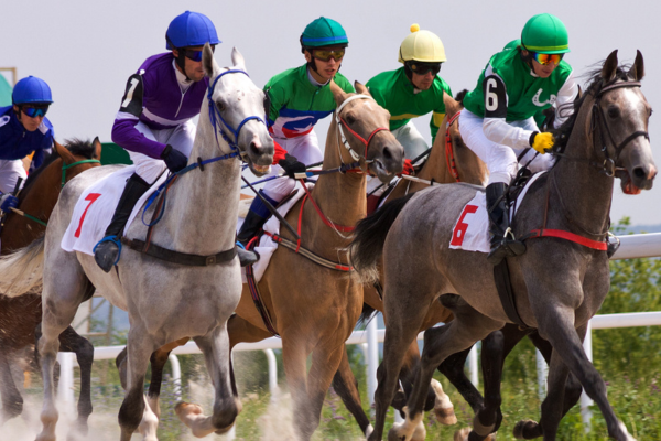 Horse bone fractures: study identifies 100 key genes