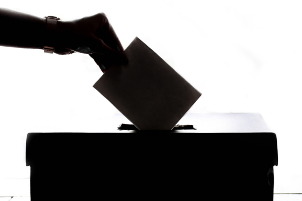 Record numbers to stand in RCVS elections