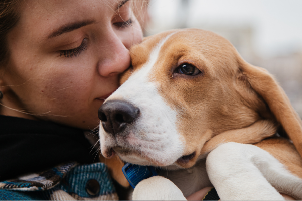 ‘Transformative’ pet well-being study programme launches
