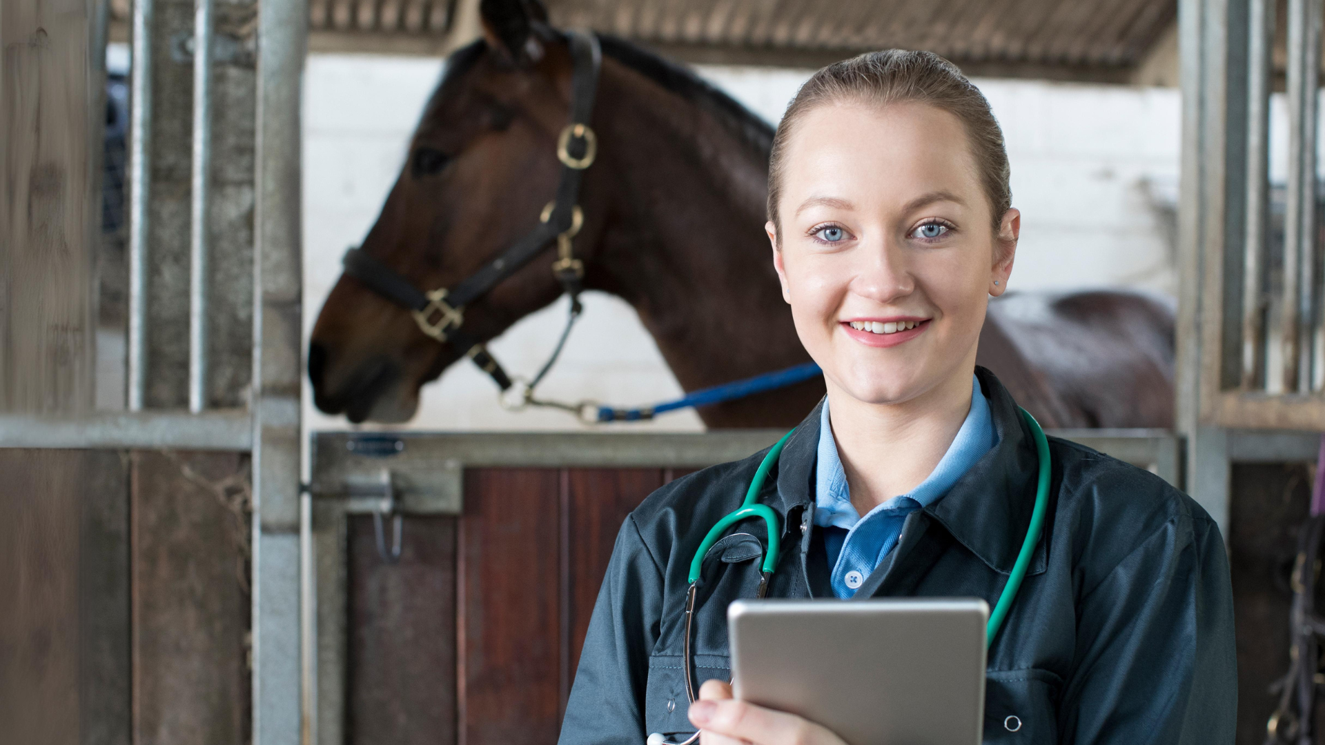 Why is data analytics important for my veterinary practice?