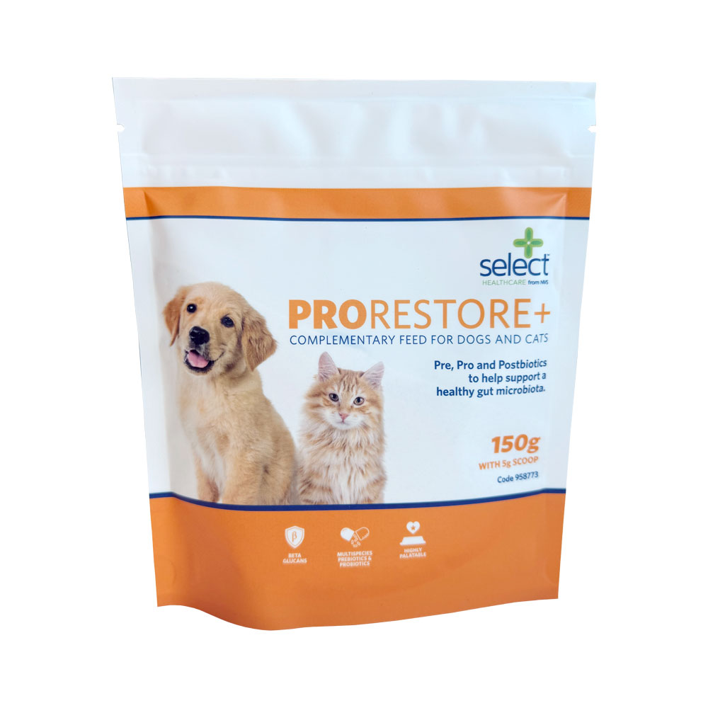 ProRestore+