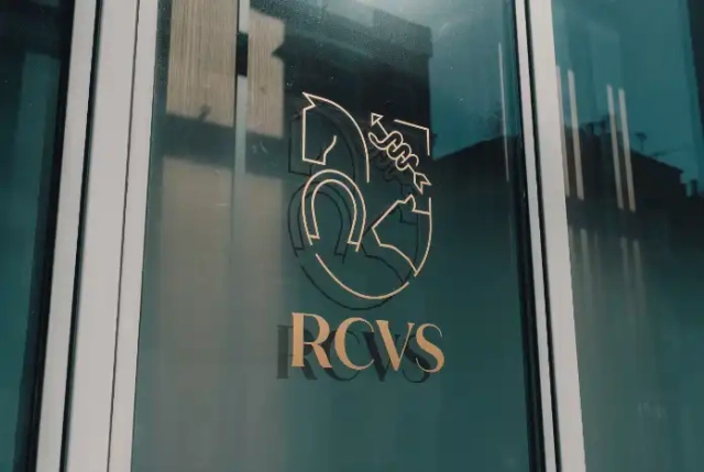 RCVS updates CertAVN programme framework