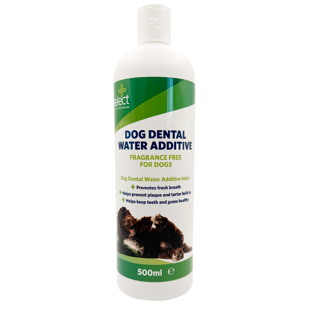 Dog Dental Water Additive